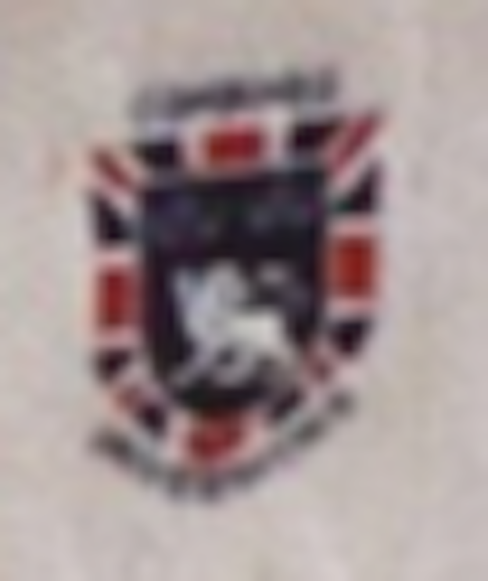 Combined Universities badge